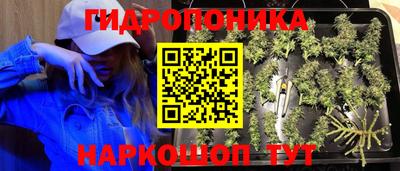 спайс Бузулук