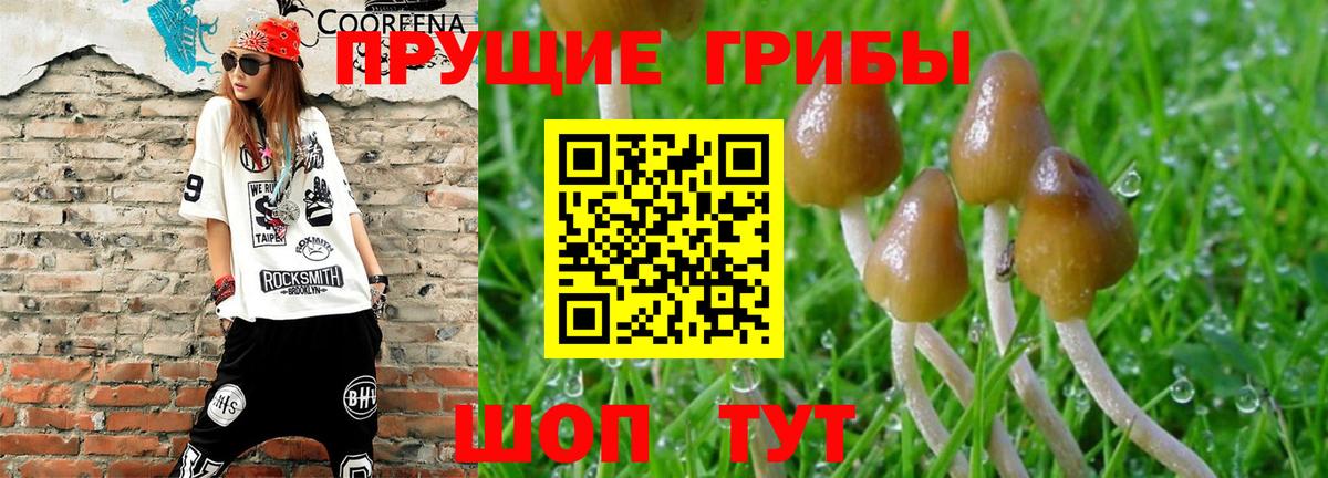 А ПВП Тимашёвск